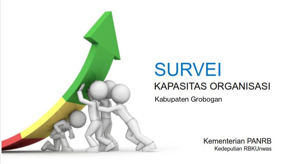 Survei Kapasitas Organisasi